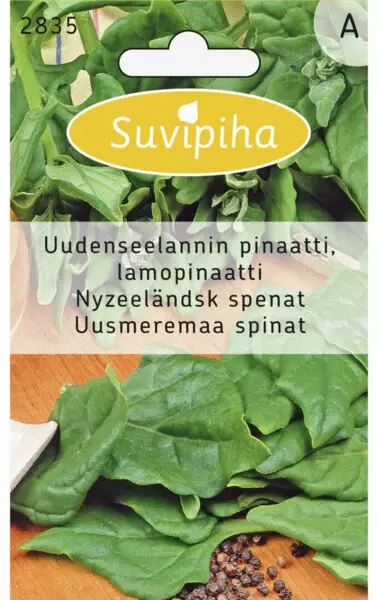 PINAATTI 1 UUSI-SEELANTI - Vihannes, juures & yrttien siemenet - 8711117283508 - 1