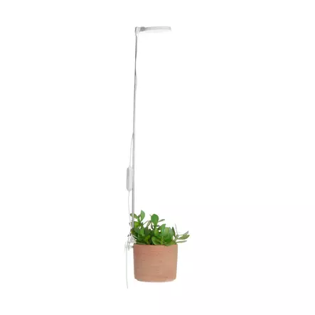 Kasvivalaisin LED - Kasvivalaisimet - 6410416429229 - 2