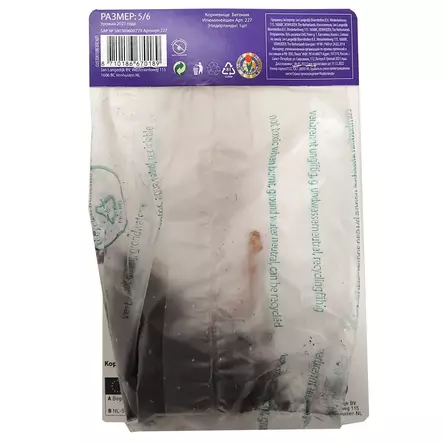 Begonia 1kpl - Kukkasipulit ja istukkaat - 8710186670189 - 2