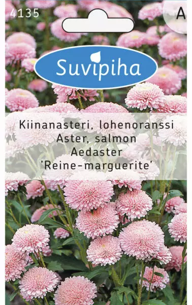 KIINANASTERI 3 LOHENORANSSI - Kukkasiemenet - 8711117413509 - 1