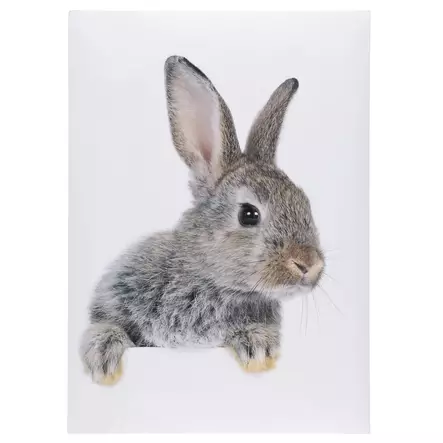 Sisustustarra Pupu 50 x 70 cm - Sisustuskalvot - 6410416533629 - 1