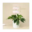 Kasvivalaisin LED - Kasvivalaisimet - 6410416429229 - 3