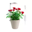 Kasvivalaisin LED - Kasvivalaisimet - 6410416429229 - 7