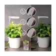 Kasvivalaisin LED - Kasvivalaisimet - 6410416429229 - 4