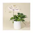 Kasvivalaisin LED - Kasvivalaisimet - 6410416429229 - 5