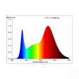 Kasvivalaisin LED - Kasvivalaisimet - 6410416429229 - 8