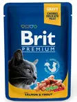 KISSANRUOKA BRIT PREMIUM CAT LOHI-TAIMEN 100G - Kissanruoat ja herkut - 8595602505999 - 1