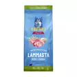 KOIRANRUOKA LAMMAS-RIISI TÄYSRAVINTO 2KG - Koiranruoat ja herkut - 6430076898999 - 2