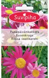 PUNAPÄIVÄNKAKKARA 2 - Kukkasiemenet - 8711117545309 - 1
