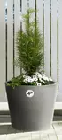 TERMORUUKKU BASIC 60 CM HARMAA 4Living - Ulkoruukut - 6410412906199 - 2