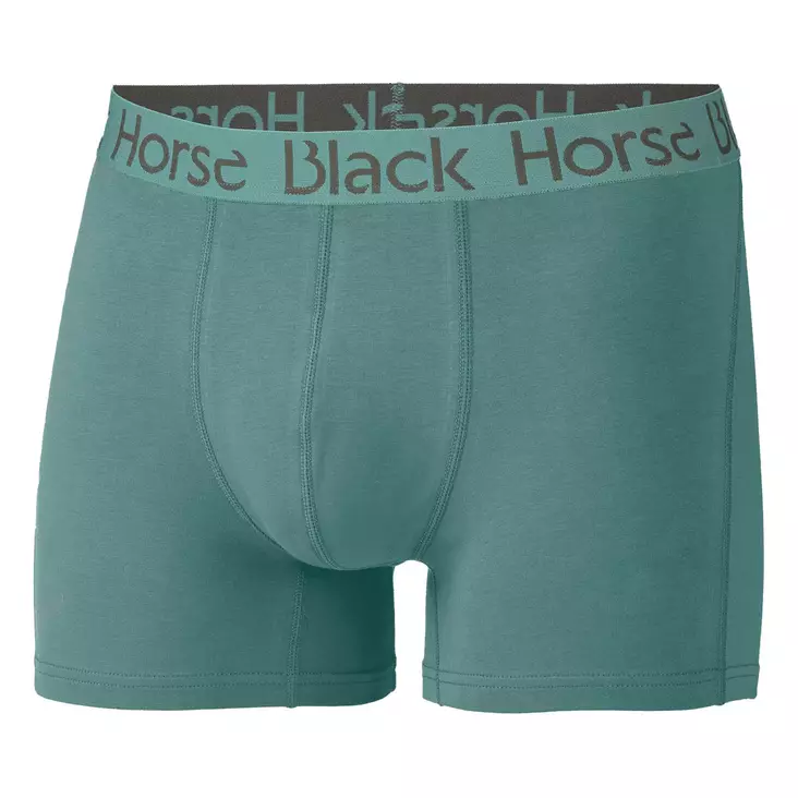 Miesten boxerit Green Black Horse - Miesten alusvaatteet - 837699 - 1