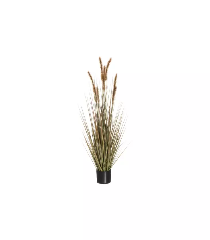 HEINÄ RUUKUSSA 122 CM 4Living - Tekokasvit ja muovikukat - 6410416030999 - 1