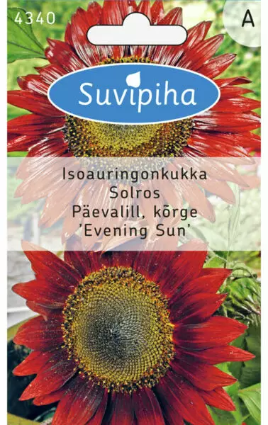 AURINGONKUKKA 1 PUNAINEN - Kukkasiemenet - 8711117434009 - 1