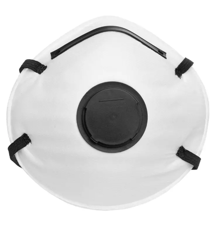 HENGITYSSUOJAIN FFP2 20KPL - Työsuojaimet - 6410413102859 - 1