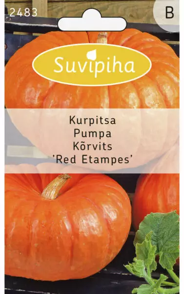 KURPITSA 1 RED ETAMPES - Vihannes, juures & yrttien siemenet - 8711117248309 - 1