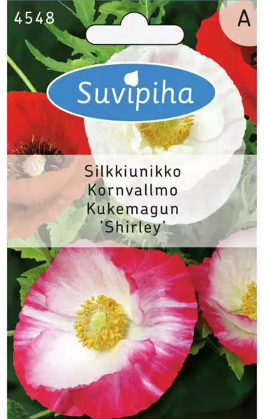 SILKKIUNIKKO 1 - Kukkasiemenet - 8711117454809 - 1
