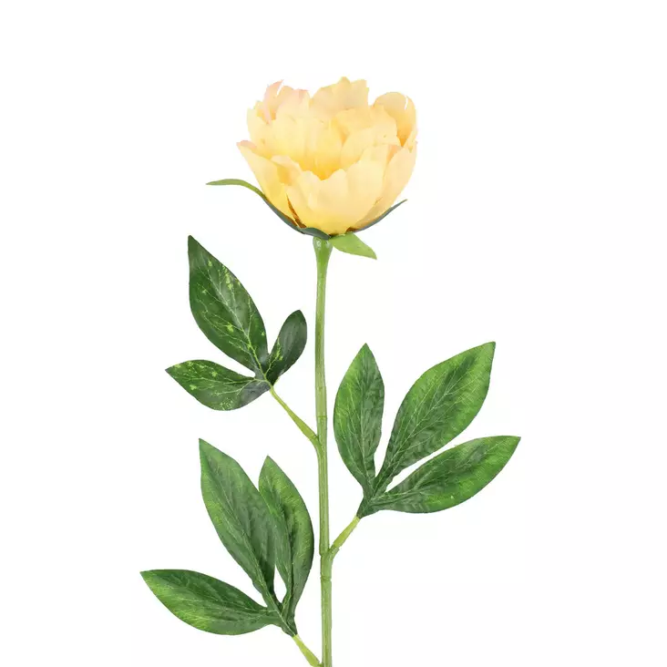 Pioni keltainen - Tekokasvit ja muovikukat - 6410416527789 - 1