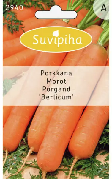 PORKKANA 1, TALVIPORKKANA - Vihannes, juures & yrttien siemenet - 8711117294009 - 1