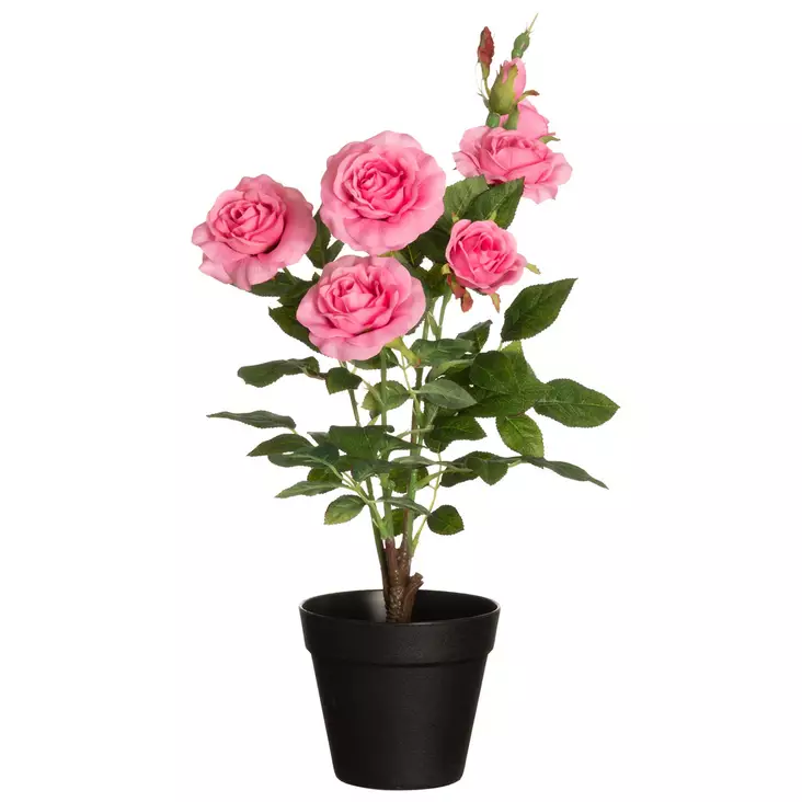 Ruusu isokukkainen ruukussa vaaleanpunai - Tekokasvit ja muovikukat - 6410416435879 - 1