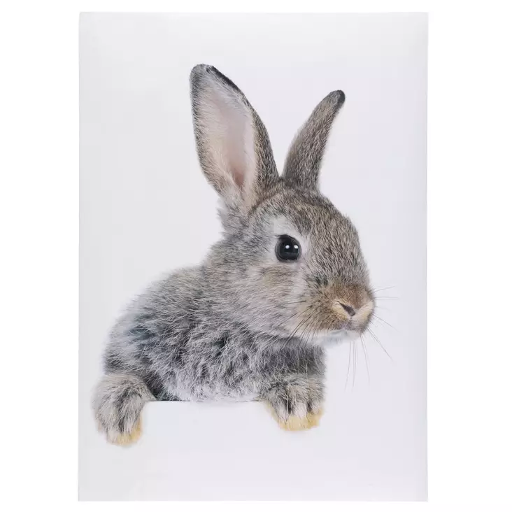 Sisustustarra Pupu 50 x 70 cm - Sisustuskalvot - 6410416533629 - 1