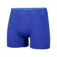 Black Horse M. boxeri sport blue -  -  - 1